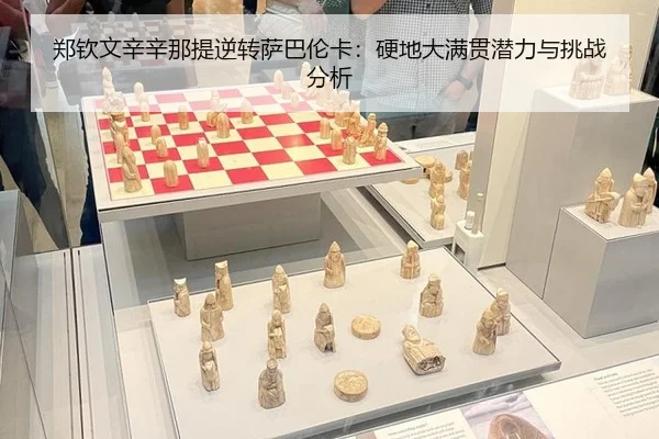 zheng-qin-wen-xin-xin-na-ti-ni-zhuan-sa-ba-lun-ka-ying-di-da-man-guan-qian-li-yu-tiao-zhan-fen-xi-2-411.jpg